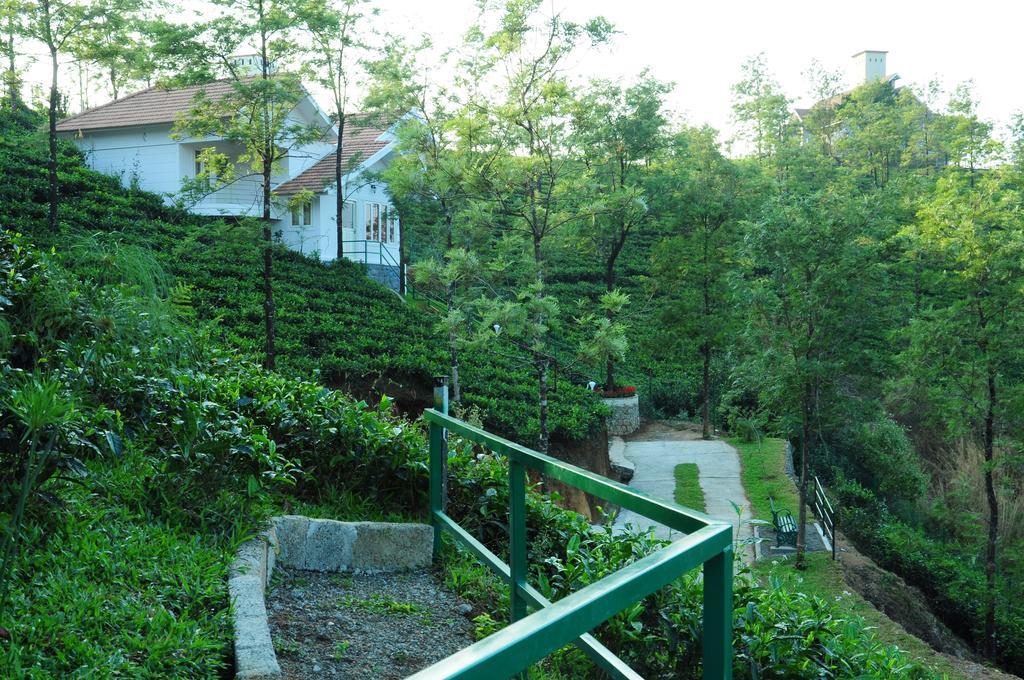 Falcon Crest Vagamon Pokoj fotografie